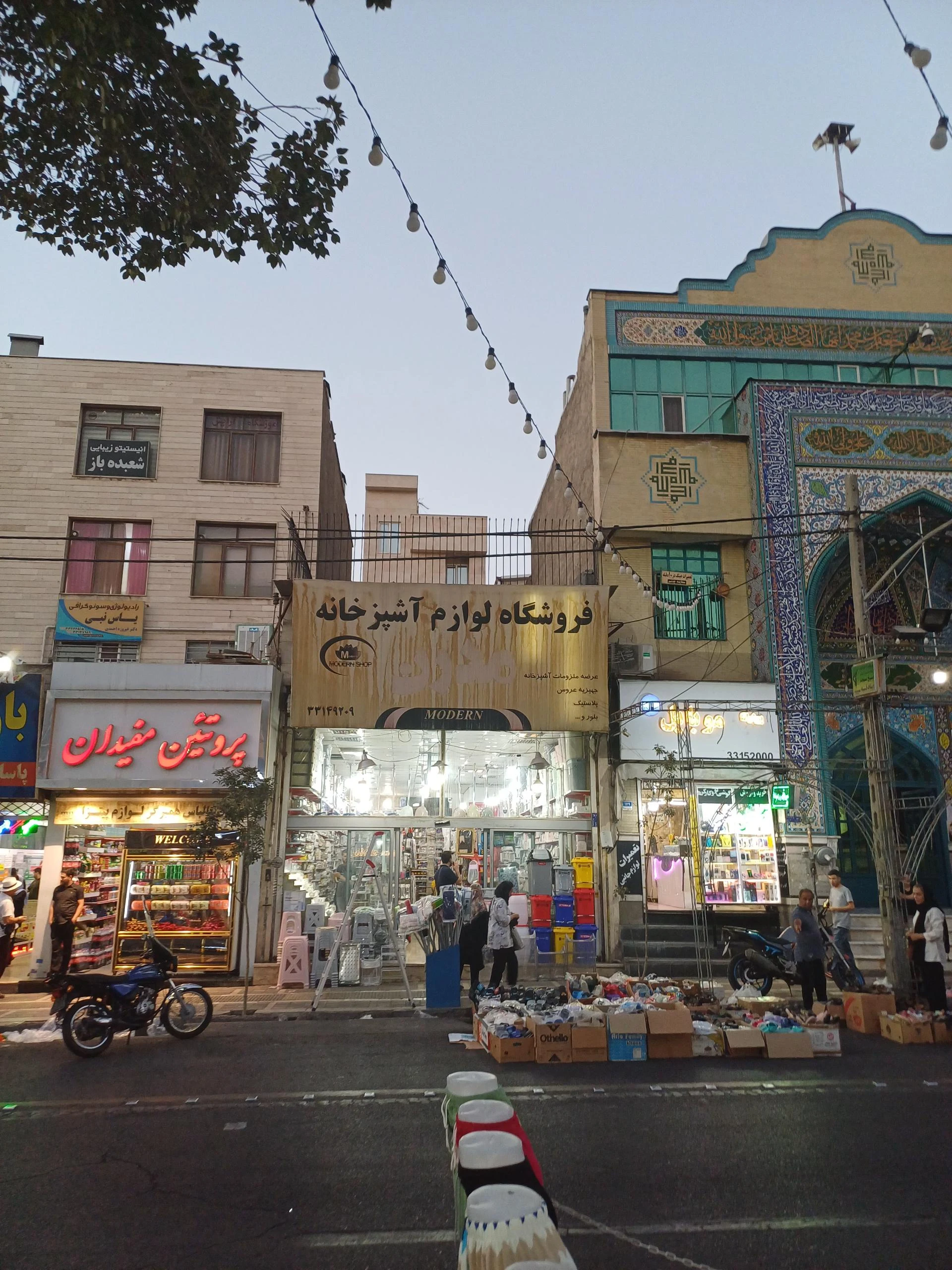پروتئین طلوع