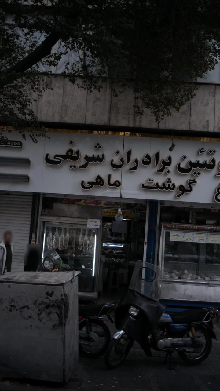 پروتئین برادران شریفی