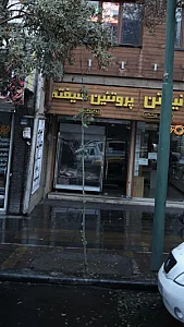 پروتئین شیفته