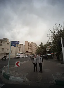 گوشت مرغ تعاونی دولتی پارسین
