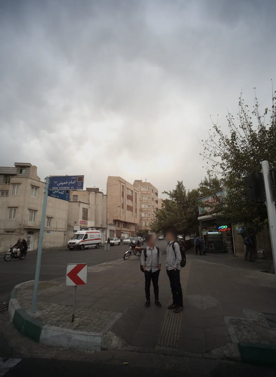 گوشت مرغ تعاونی دولتی پارسین