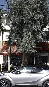 پروتئین لوکس عزیزی