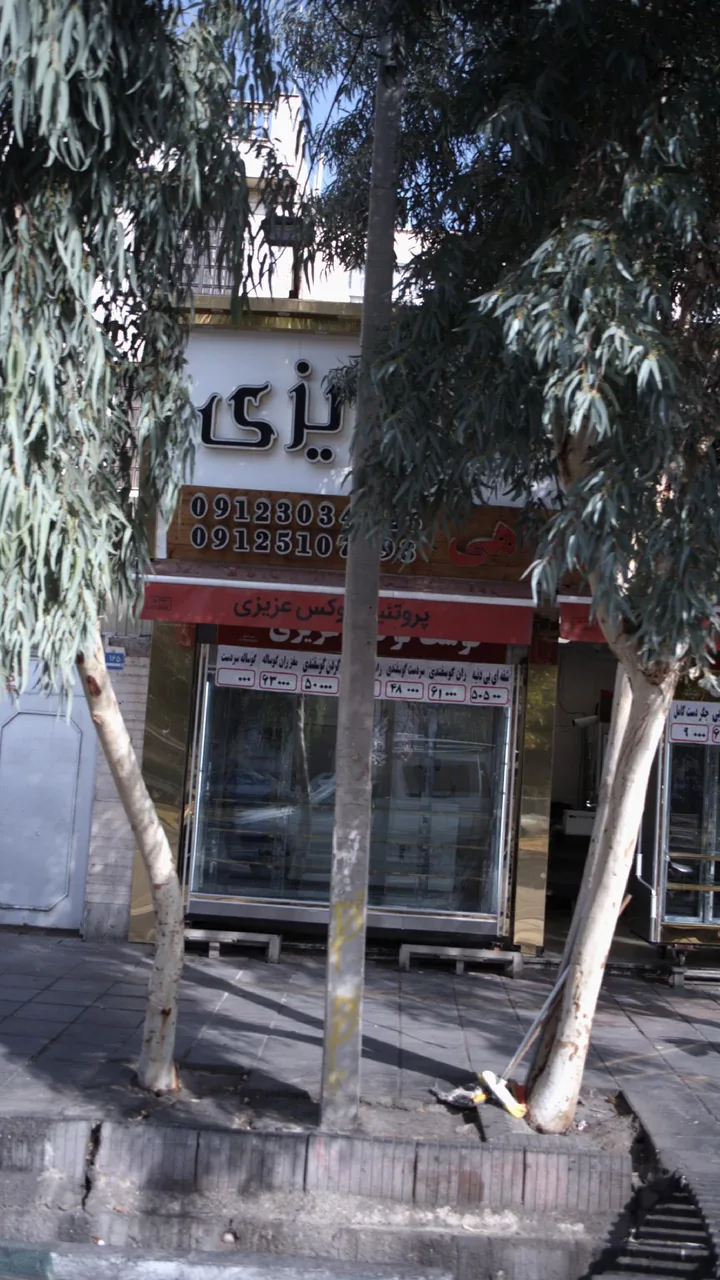 پروتئین لوکس عزیزی - تصویر 2