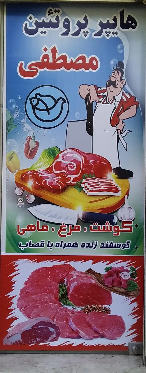 هایپر پروتئین مصطفی - تصویر 3