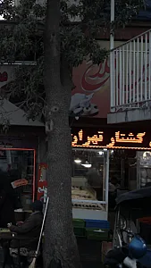 فروشگاه مرغ