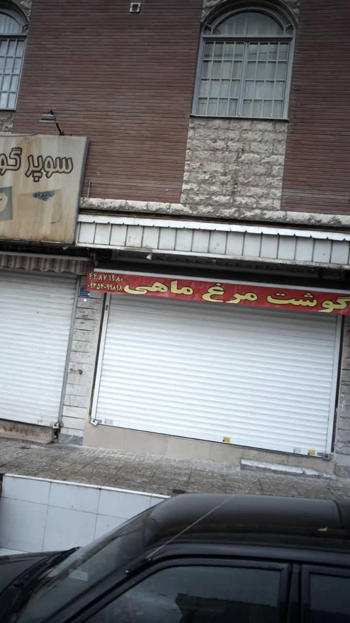 گوشت مرغ ماهی