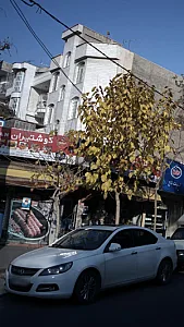 گوشتیران