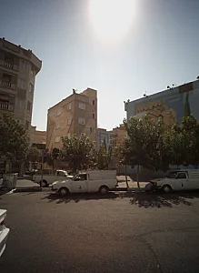 پروتئین سید