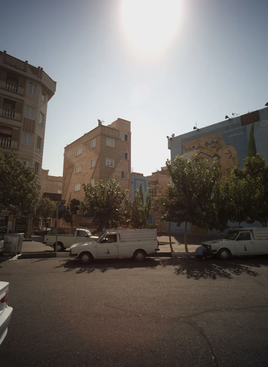 پروتئین سید