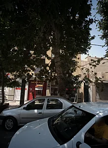 فروشگاه پروتئین