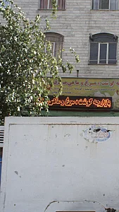 بازارچه گوشت ،مرغ وماهی صدف