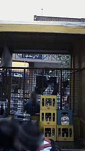 لواشی سعادت