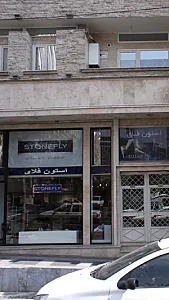فروشگاه استون فلای