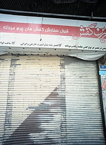 زرین کفش