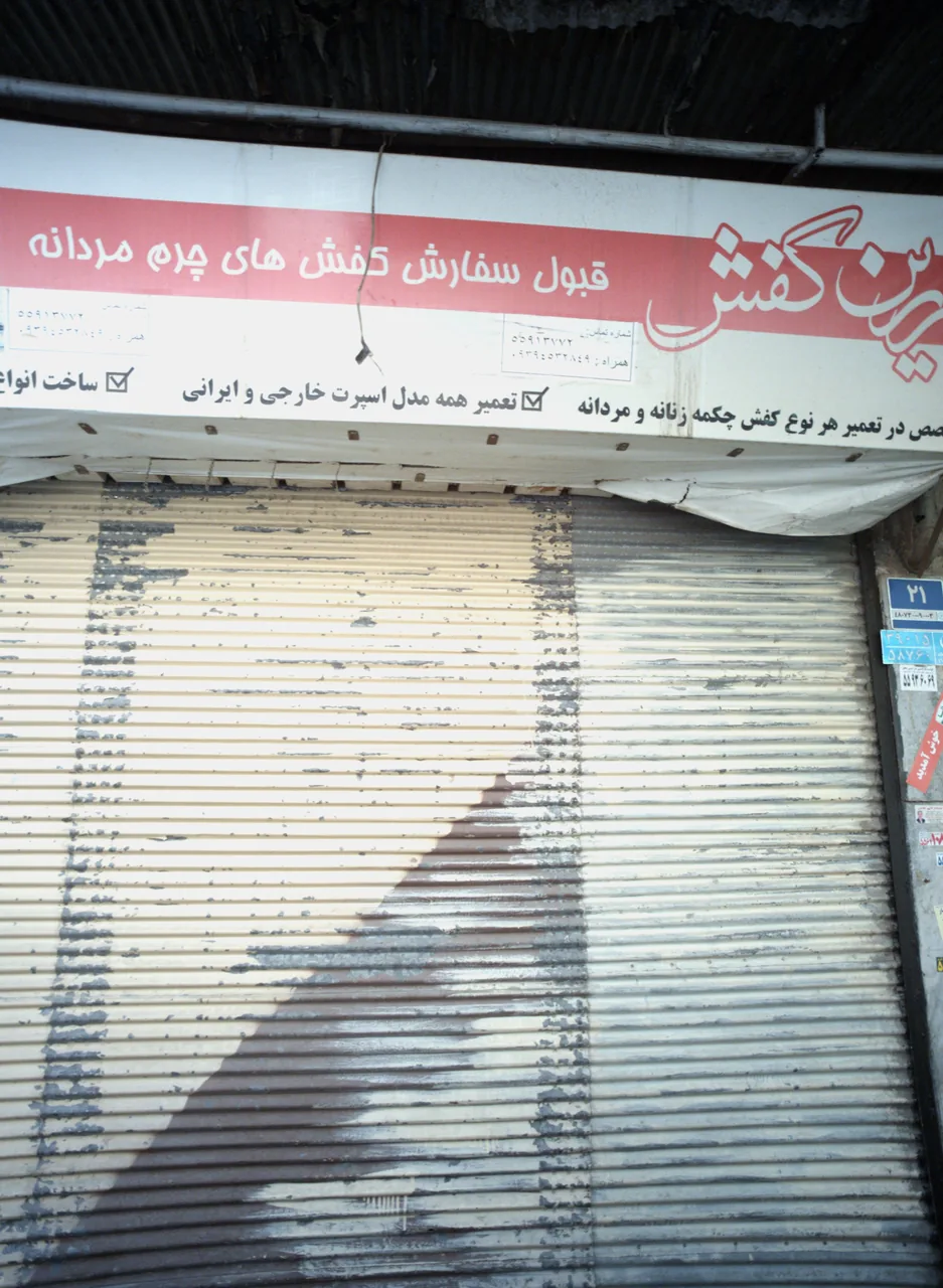 زرین کفش