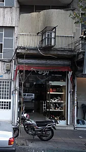 بلوط