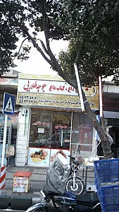 کتونی آدیداس