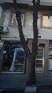 فروشگاه کفش دانیال