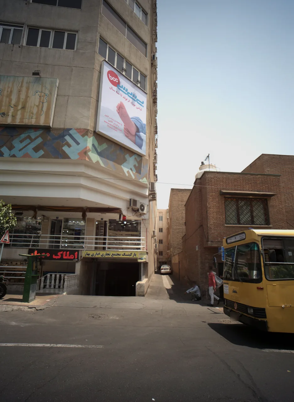 کفش رائول