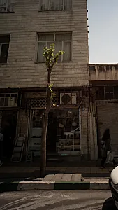 دنیای صندل