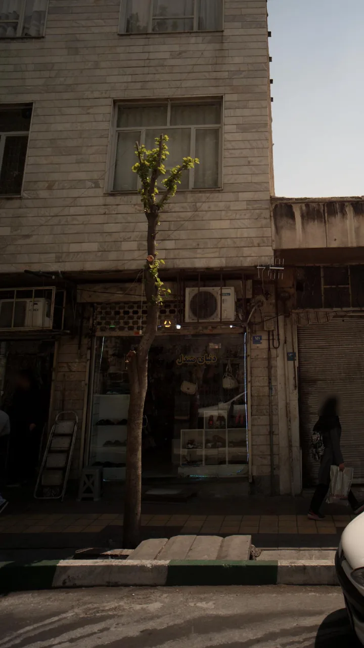 دنیای صندل