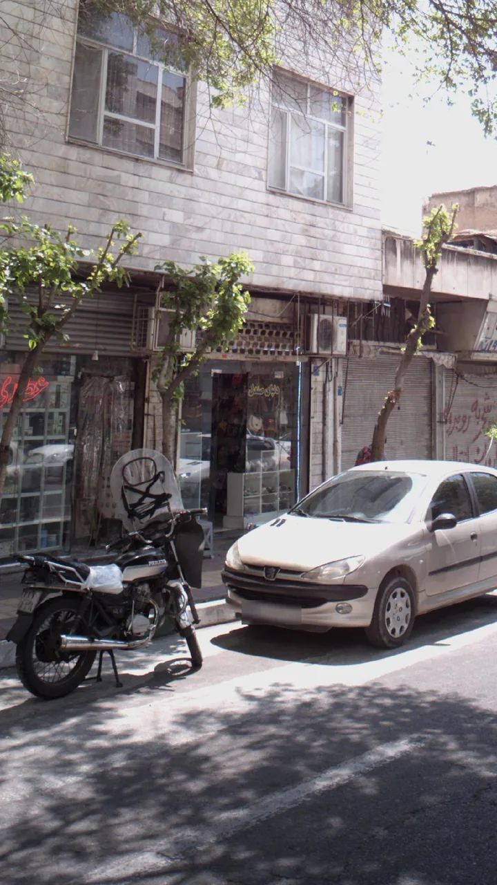 دنیای صندل - تصویر 2