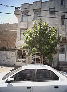 فروشگاه کفش