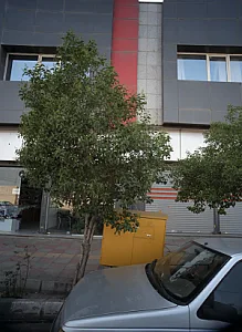 کفش فروشی