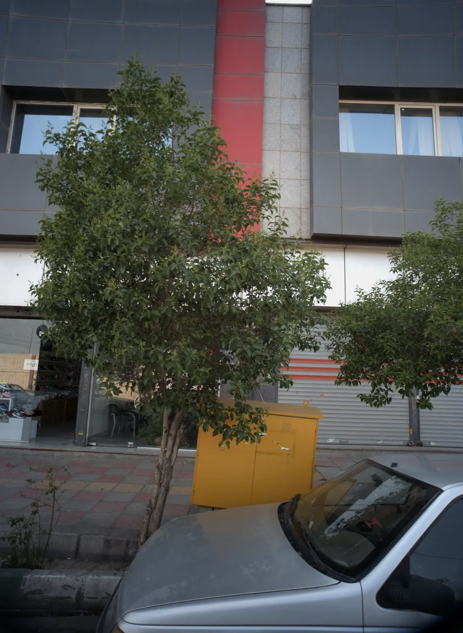 کفش فروشی