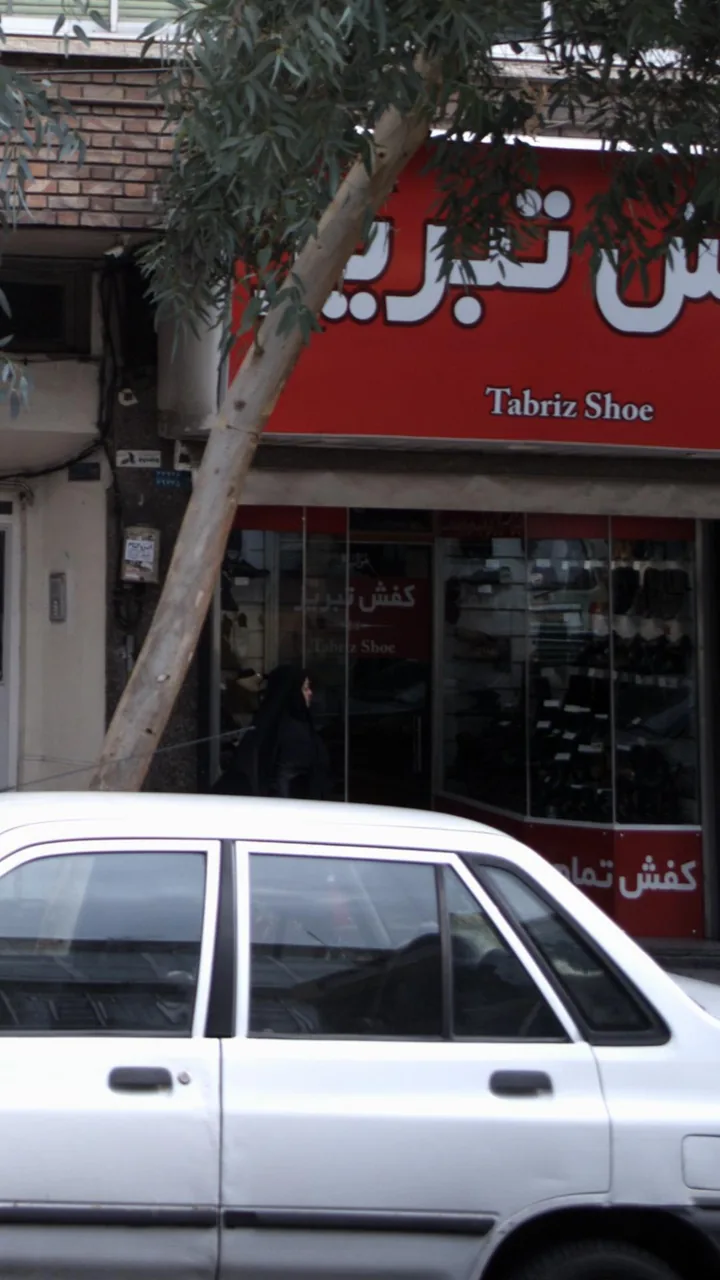 کفش تبریز