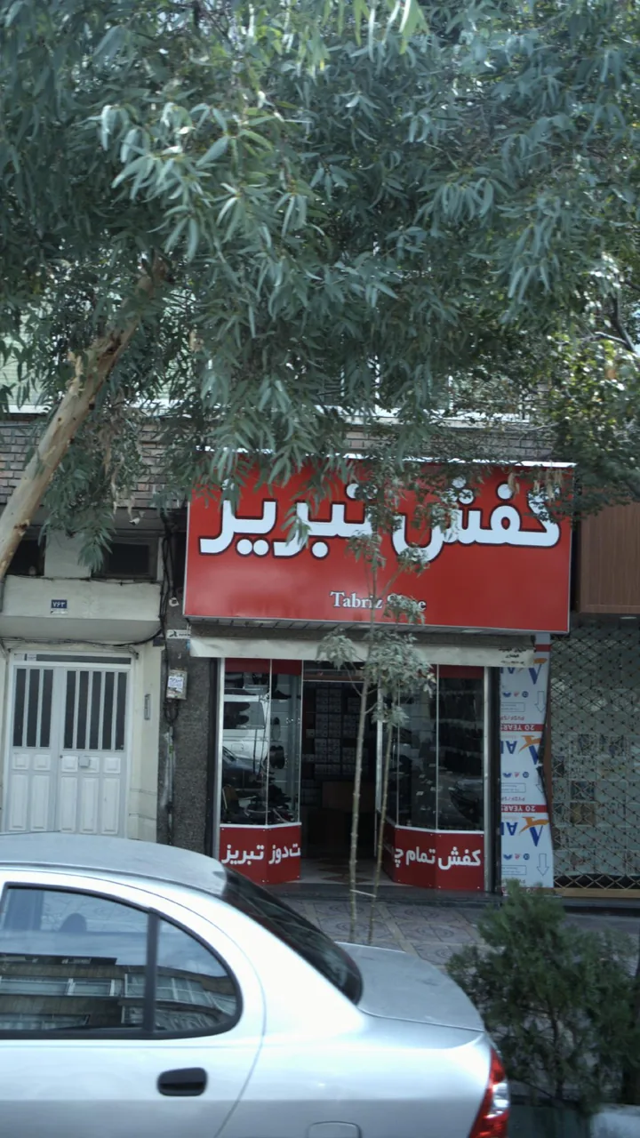 کفش تبریز - تصویر 2
