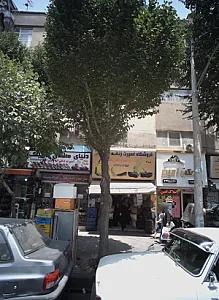 دنیای صندل تاجیک