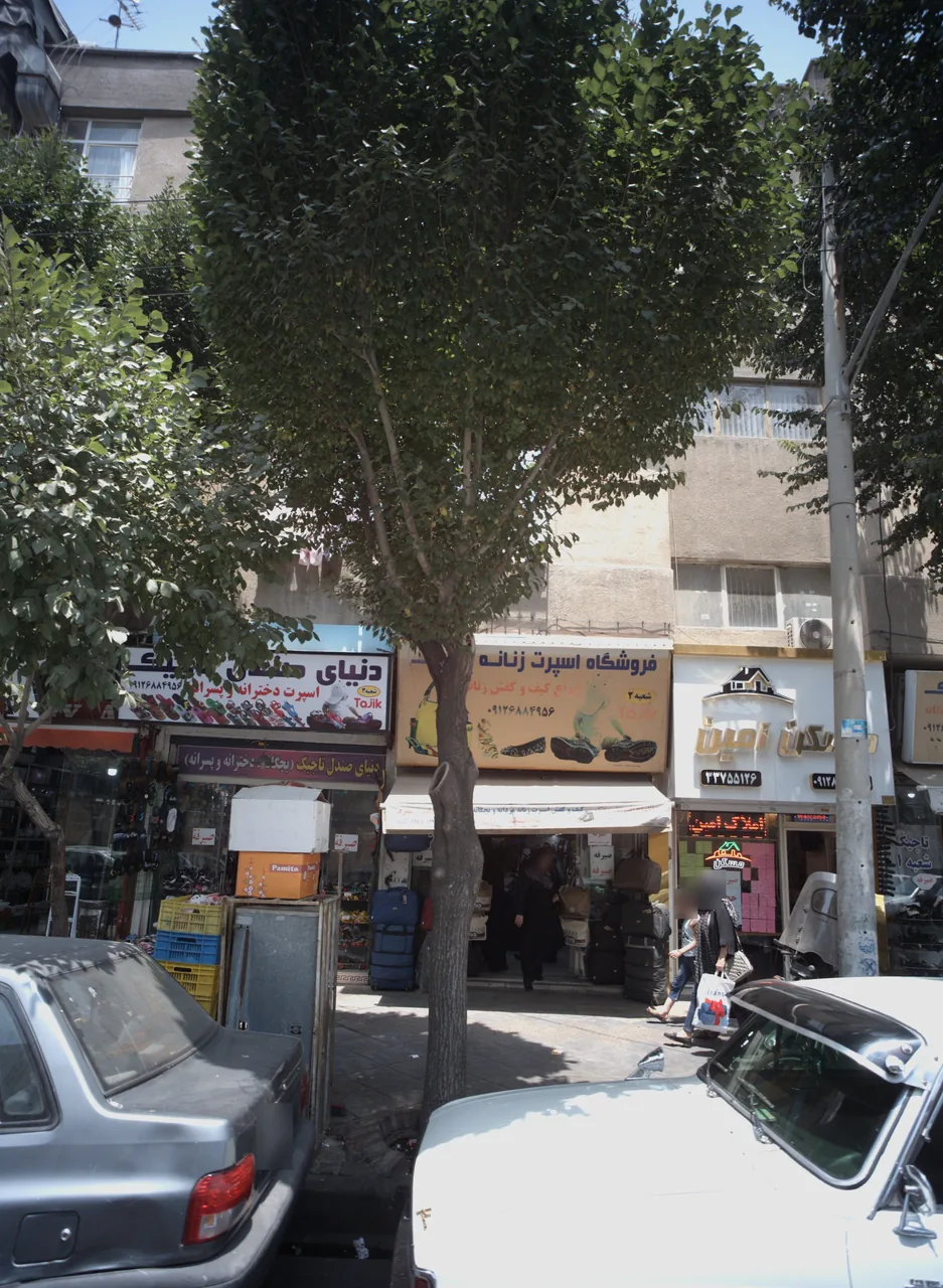 دنیای صندل تاجیک