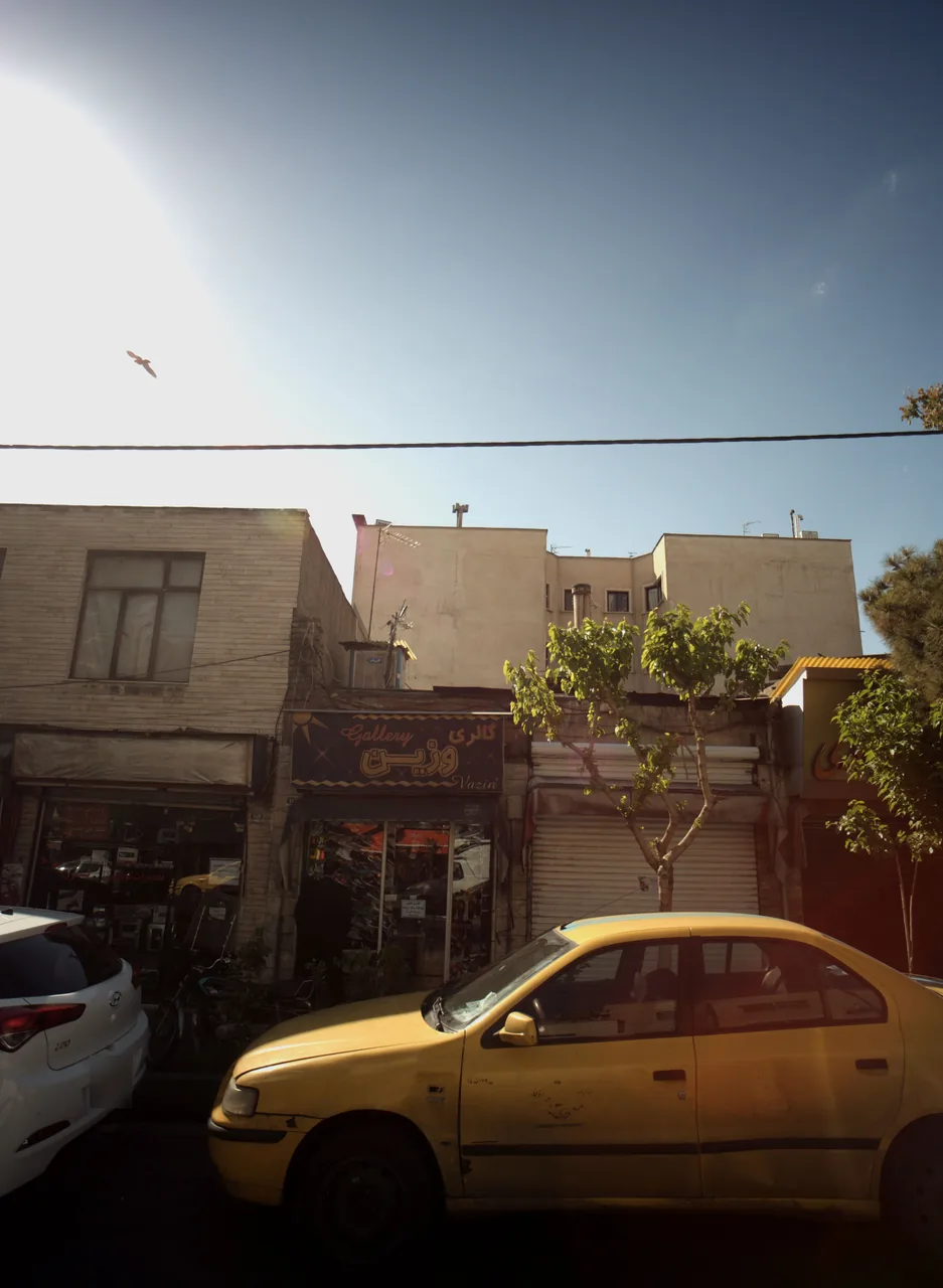 گالری وزین
