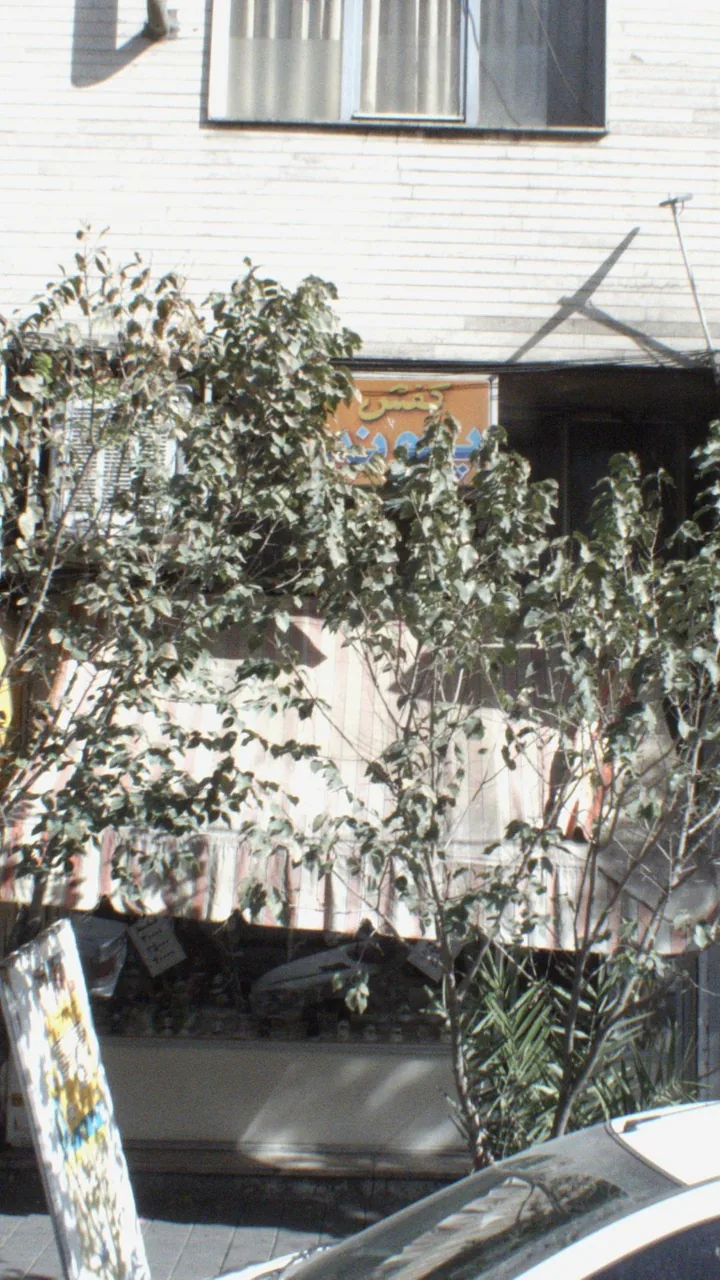 کفش پونه