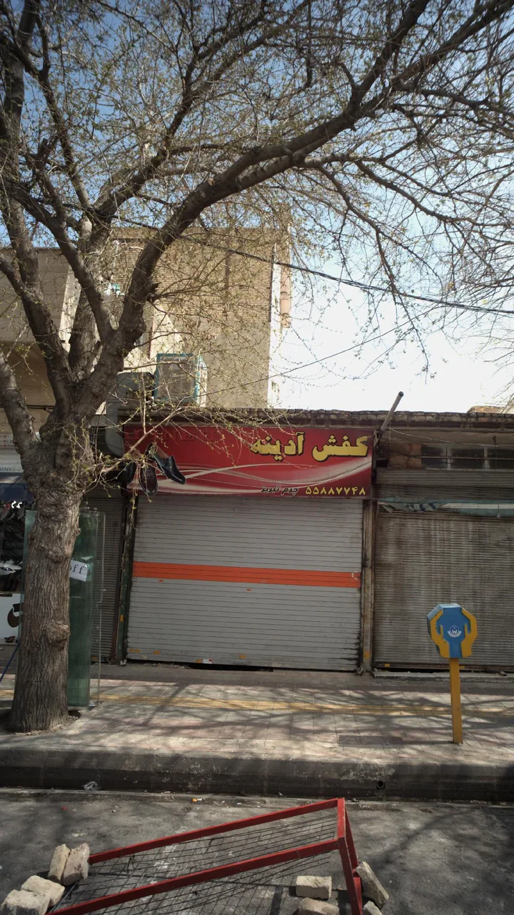 کفش آدینه - تصویر 2