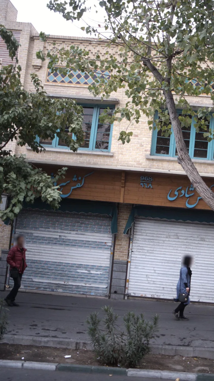 کفش سروش