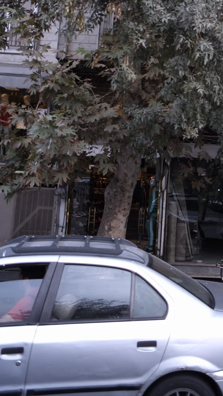 کفش فروشی - تصویر 2