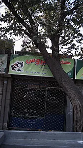 کفش سیروس