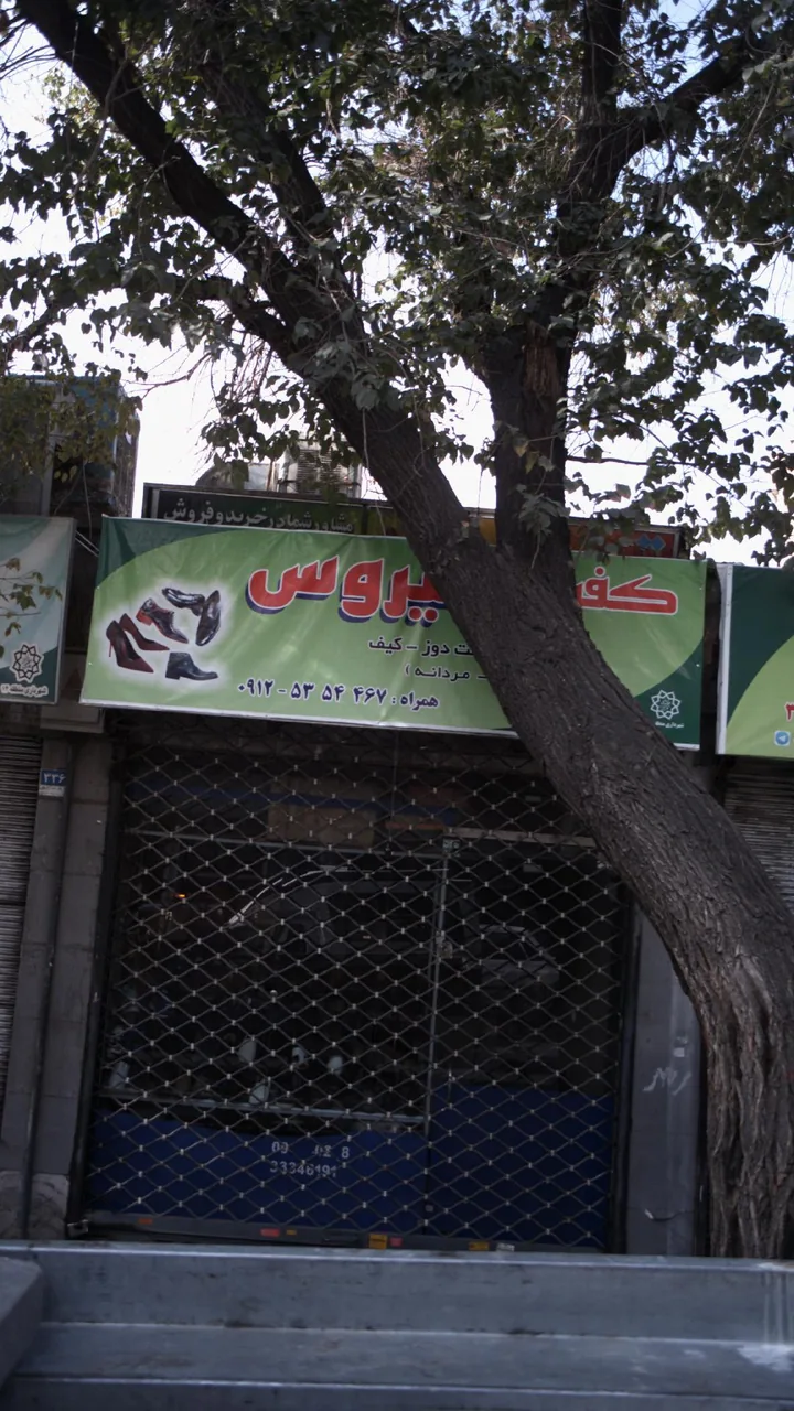 کفش سیروس