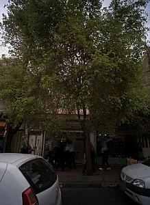 کفش فروشی پاگنده