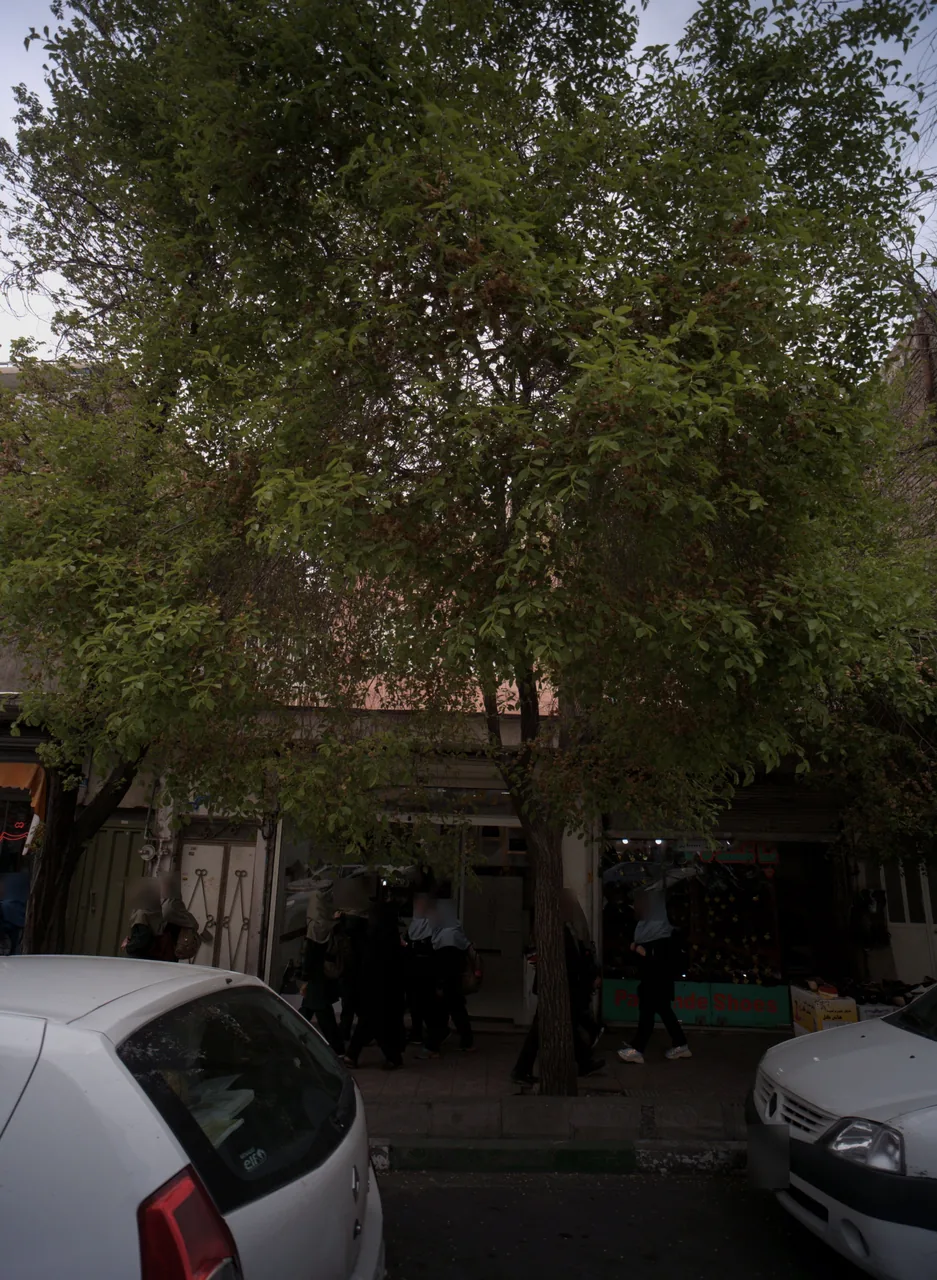 کفش فروشی پاگنده