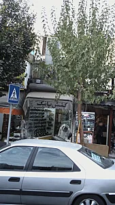 کفش پانیک