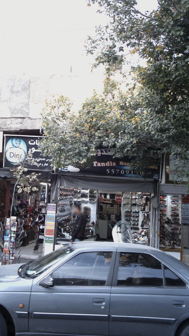 کیف و کفش تندیس
