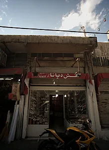 کفش دیانا