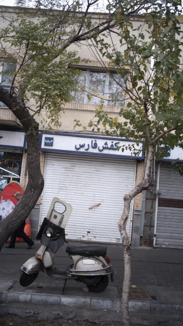 کفش فارس