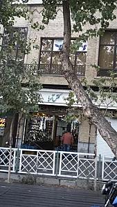 کفش آریا