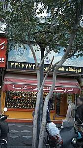 فروشگاه کفش هنگامه