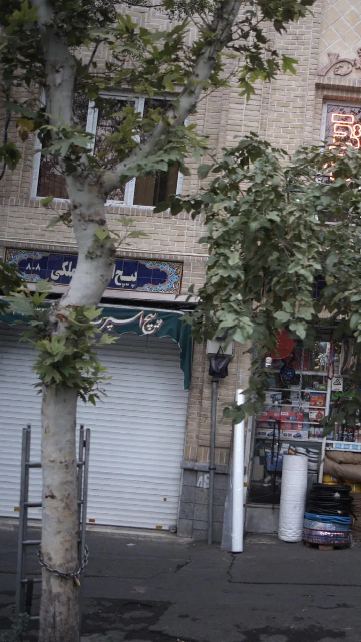 پیچ اسپرت ملکی - تصویر 2