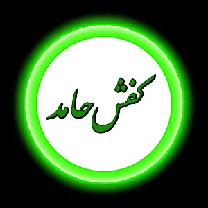کفش حامد